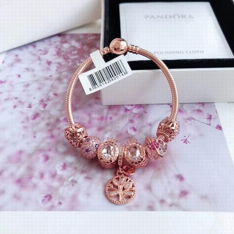 Pandora Bracelets 1253